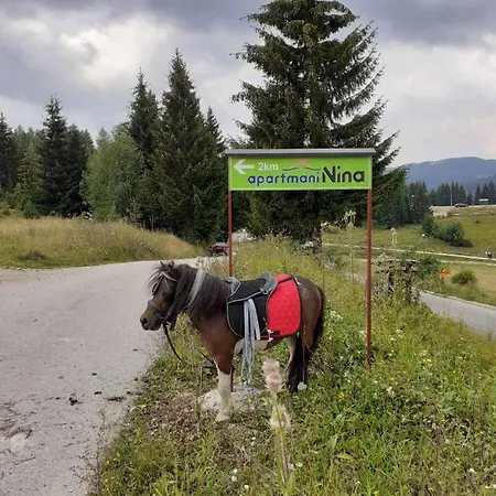 Nina Zlatar Appartamento Nova Varoš